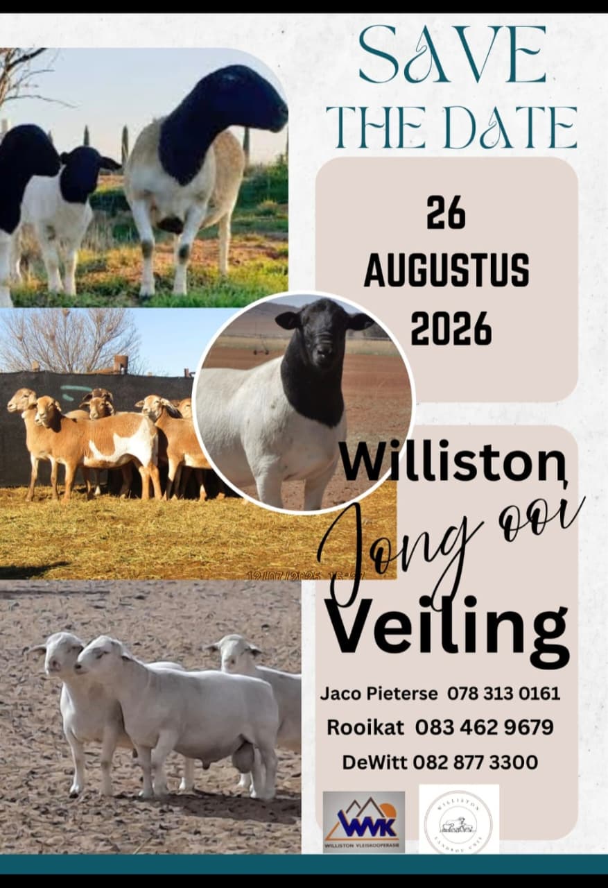 26 August 2026